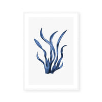 Navy Sea Kelp I