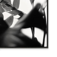 Negative Space II