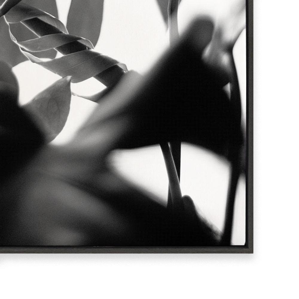 Negative Space II