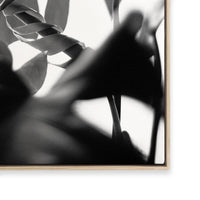 Negative Space II