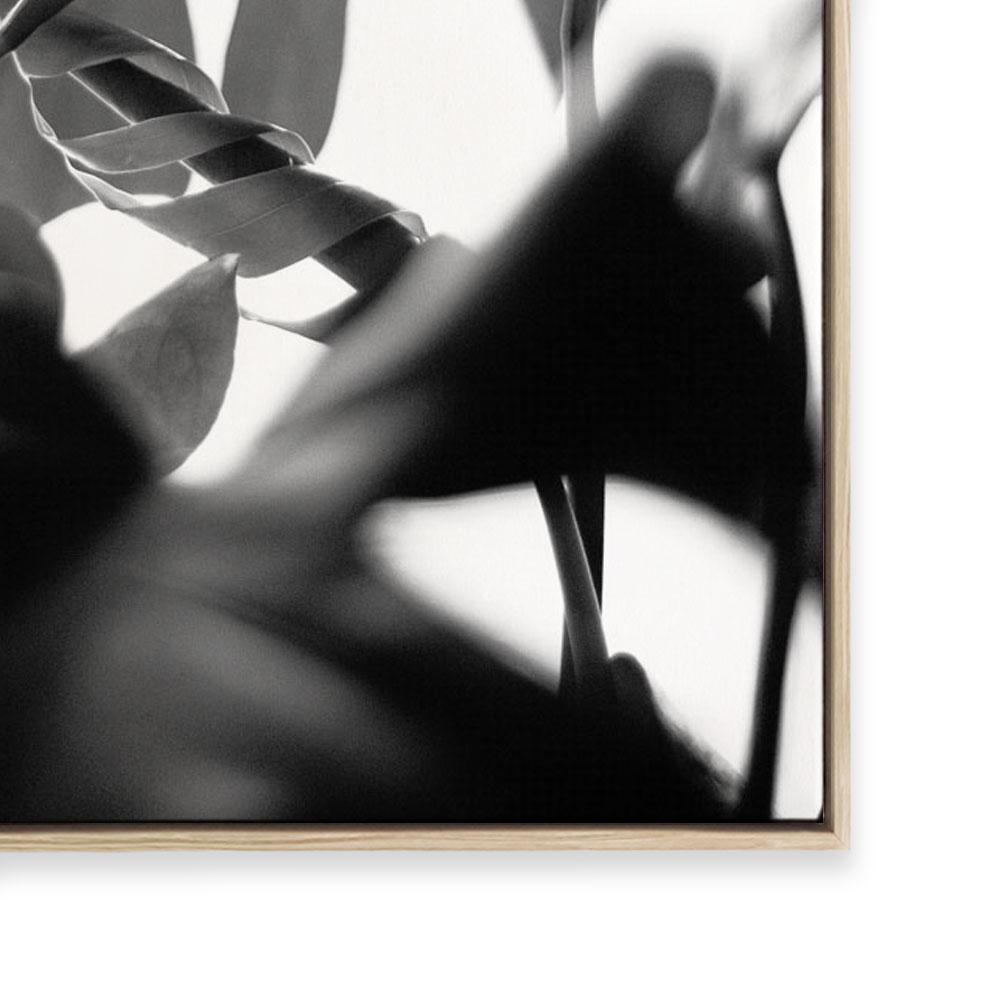 Negative Space II