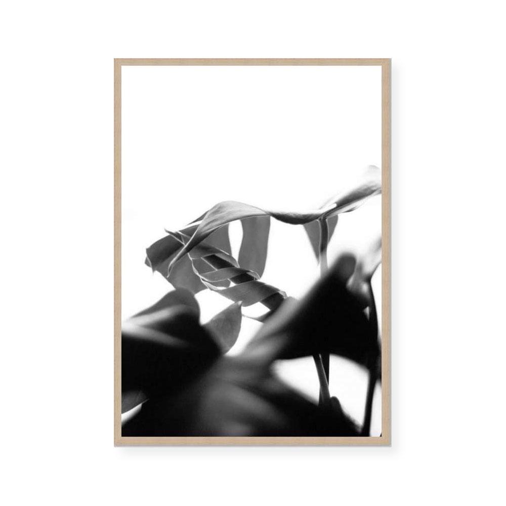Negative Space II