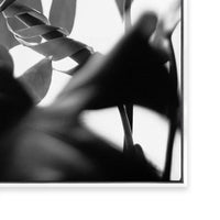 Negative Space II