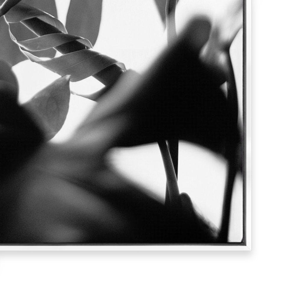 Negative Space II