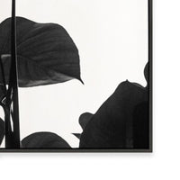 Negative Space I