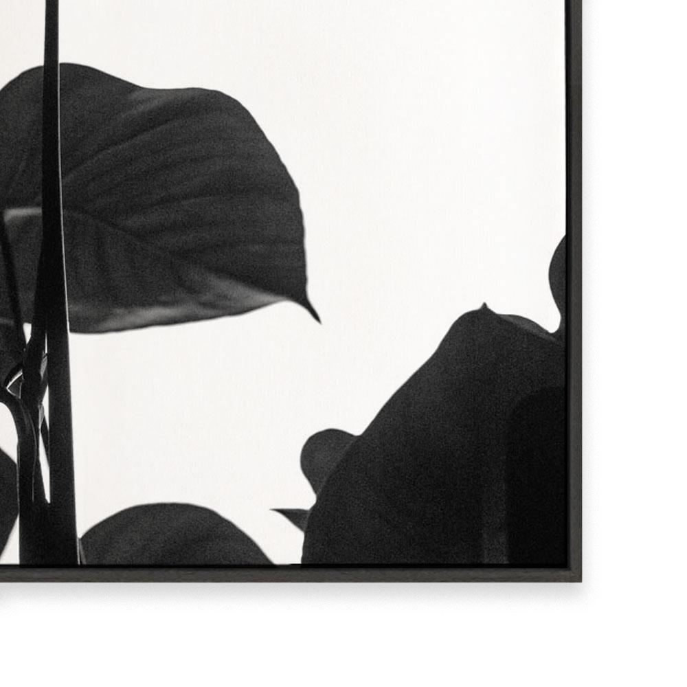 Negative Space I
