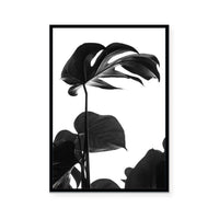 Negative Space I