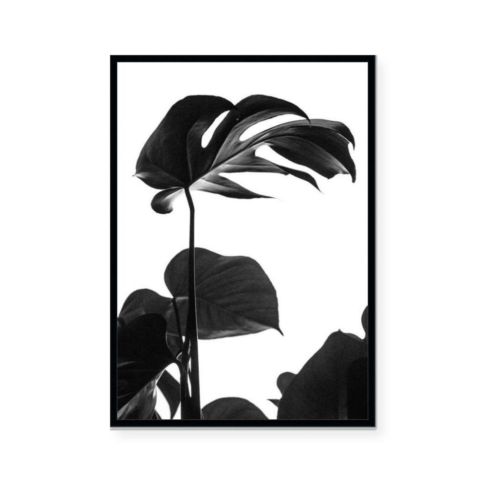 Negative Space I