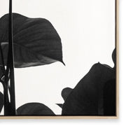 Negative Space I