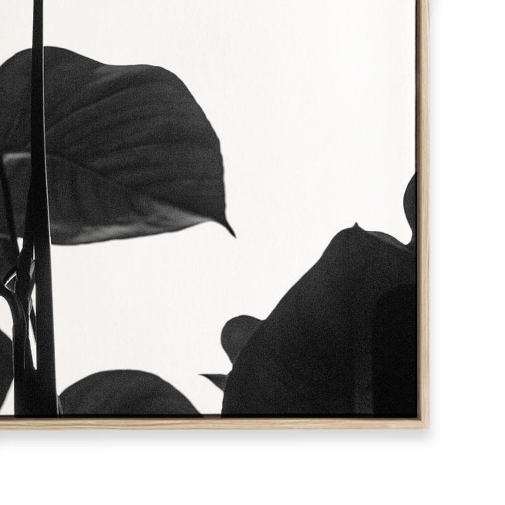 Negative Space I