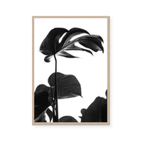 Negative Space I