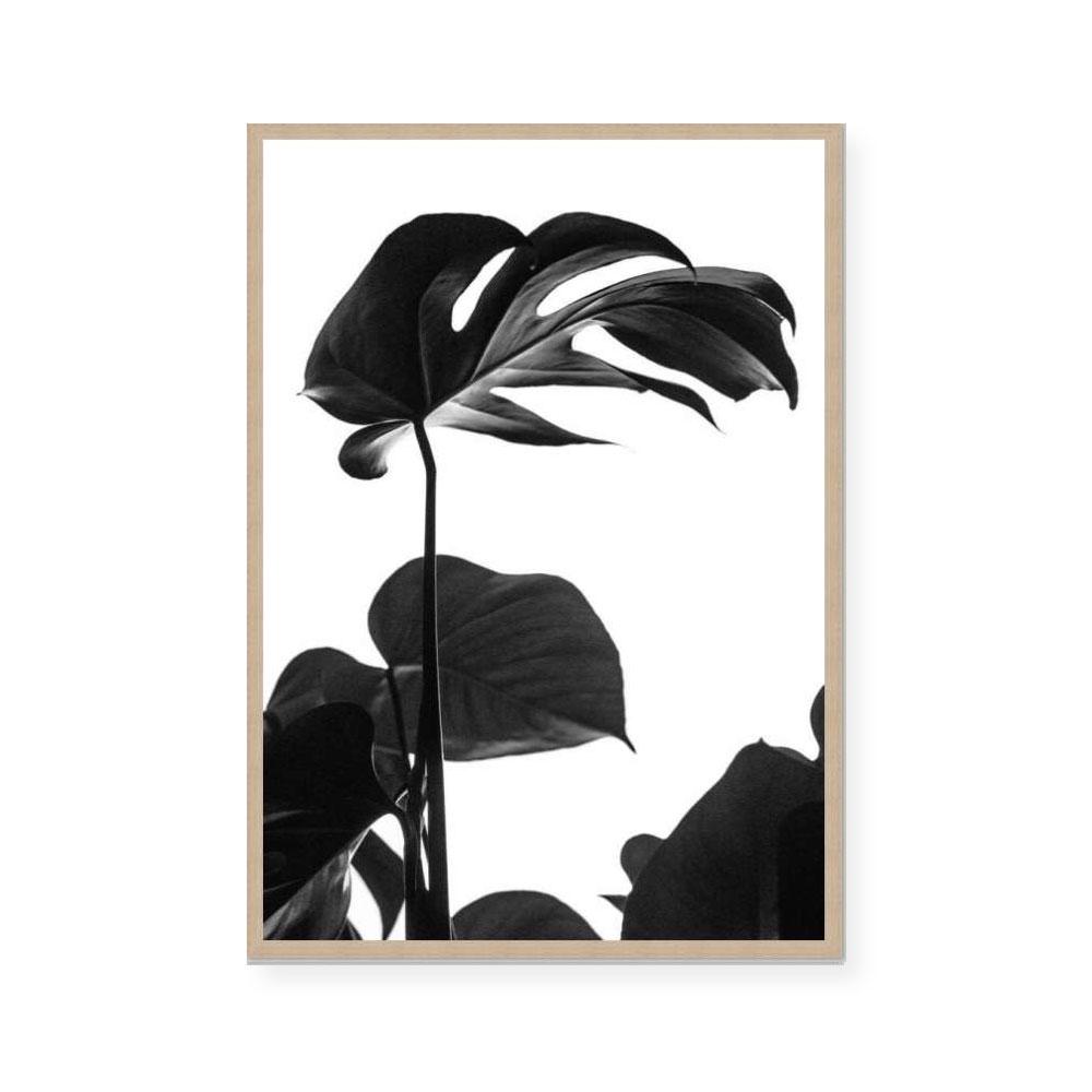 Negative Space I
