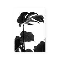 Negative Space I