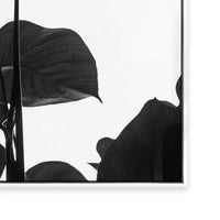 Negative Space I