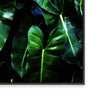 Neon Jungle I