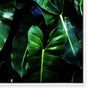 Neon Jungle I