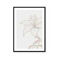 Neutral Botanicals III