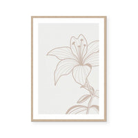Neutral Botanicals III