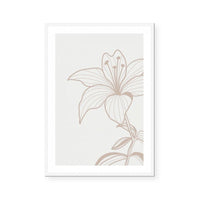 Neutral Botanicals III
