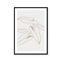 Neutral Botanicals I