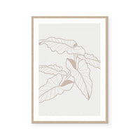 Neutral Botanicals I