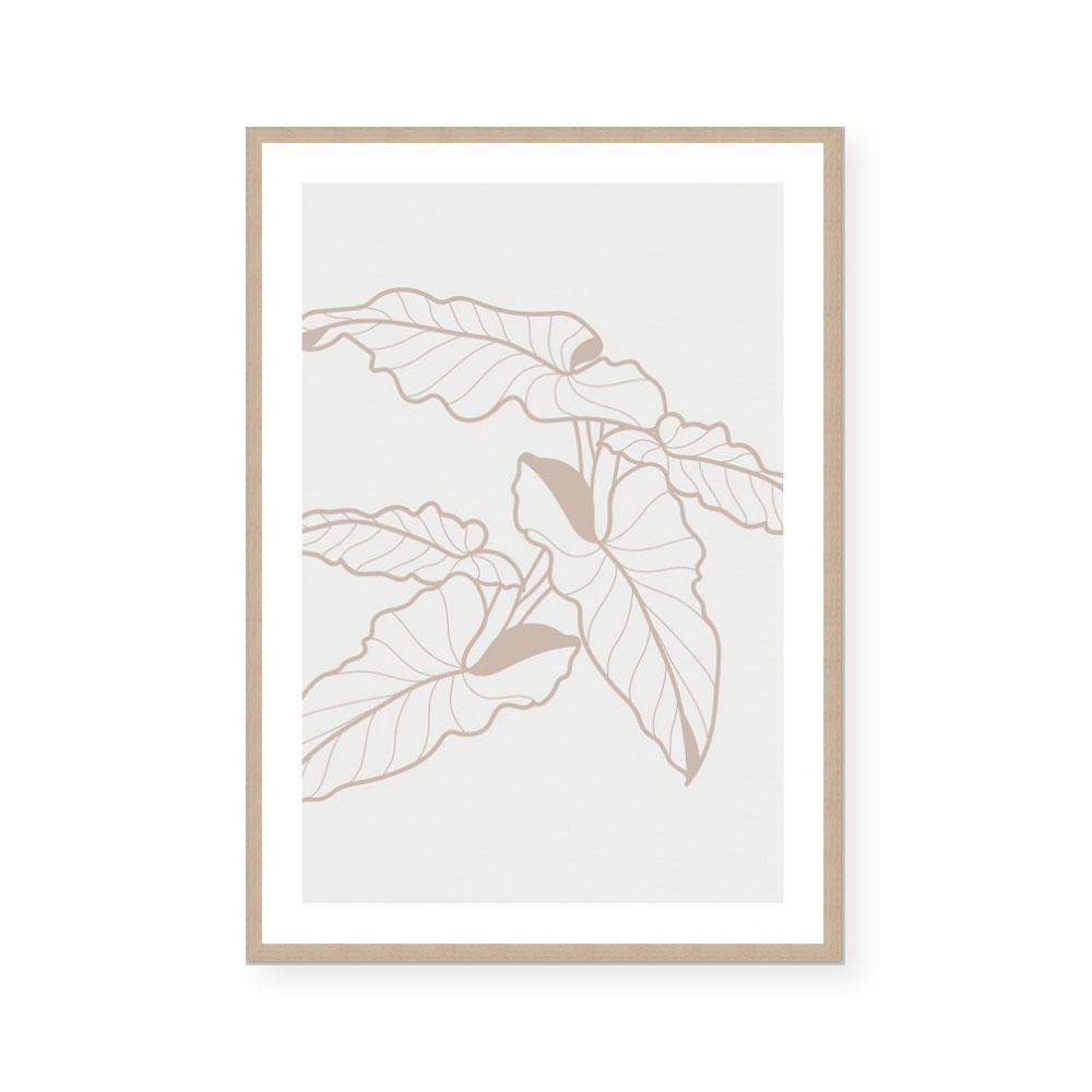 Neutral Botanicals I