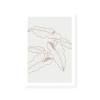 Neutral Botanicals I