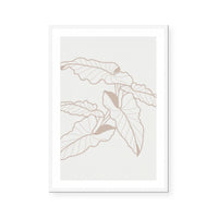 Neutral Botanicals I