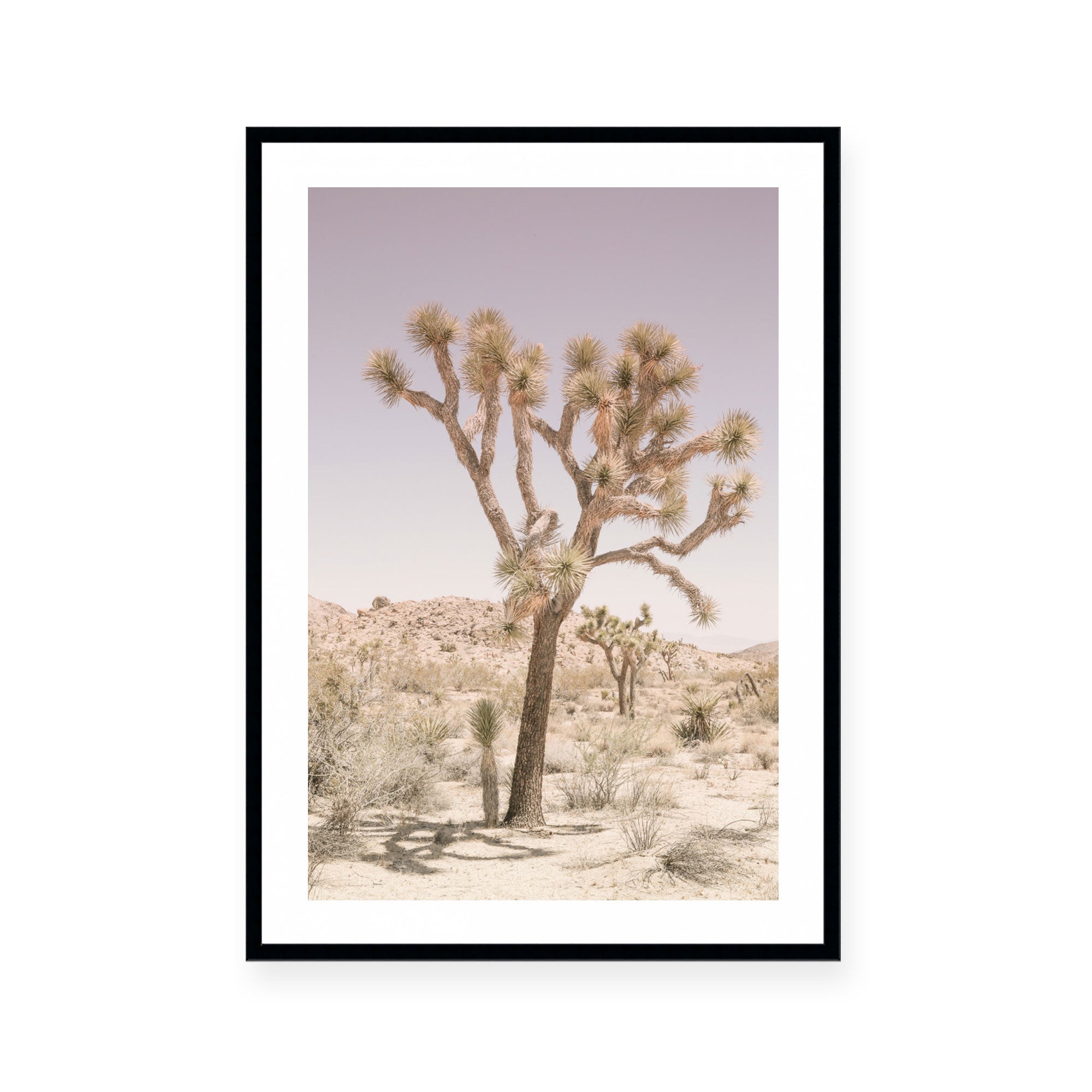 Nomad II