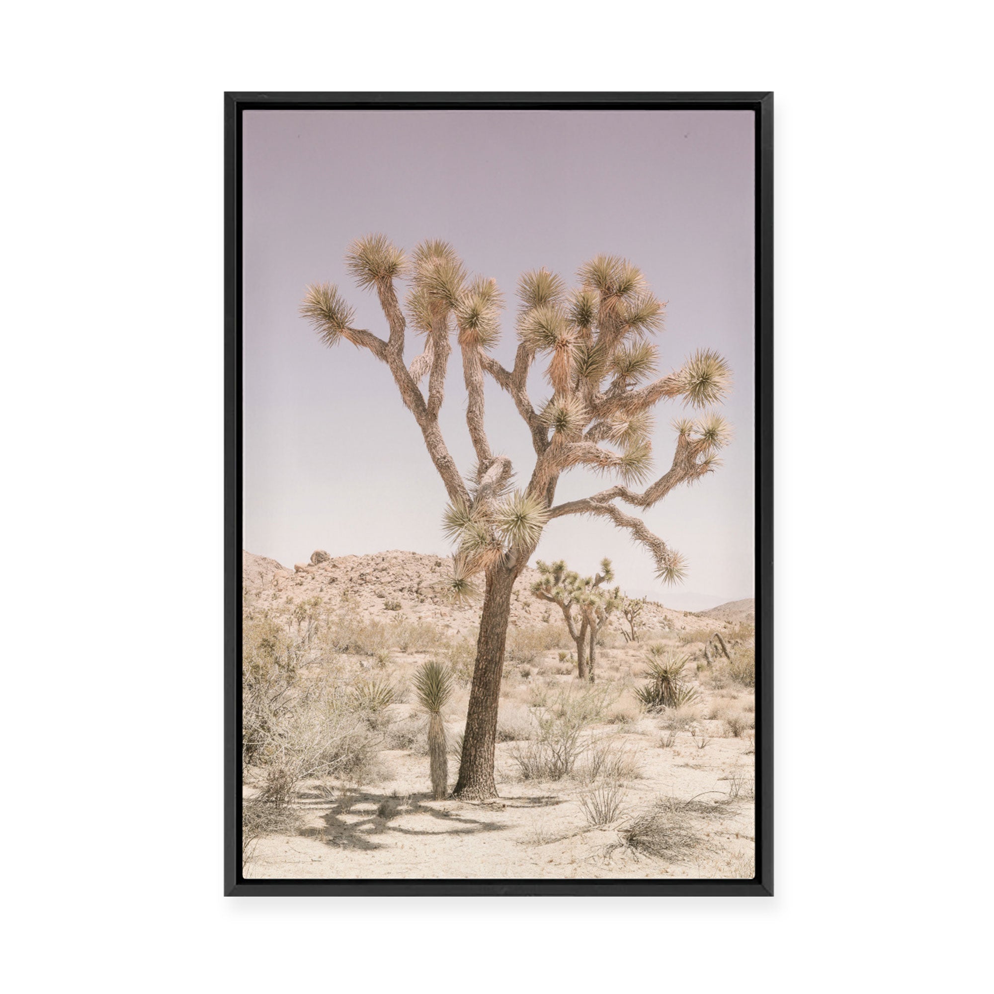 Nomad II | Framed Canvas
