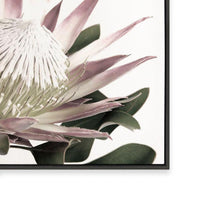 Open Protea