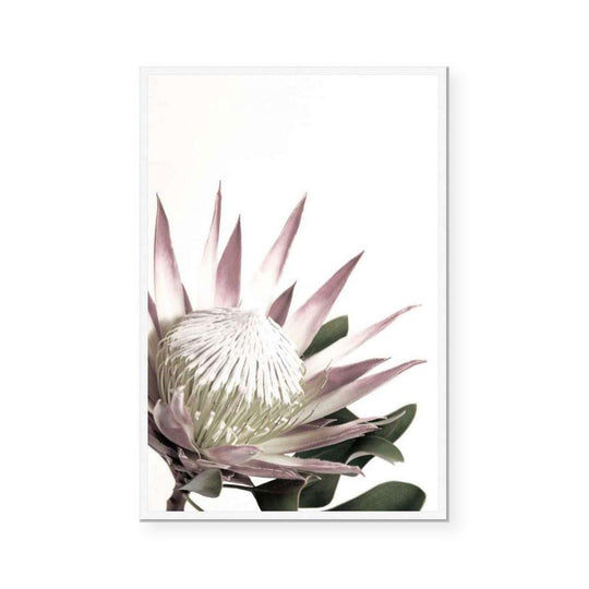 Open Protea