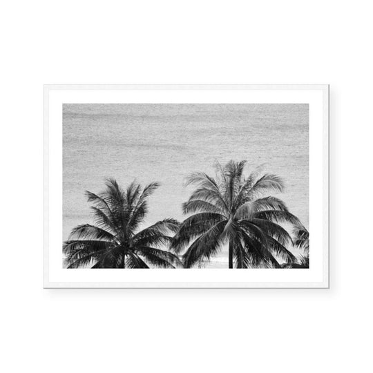 Palms