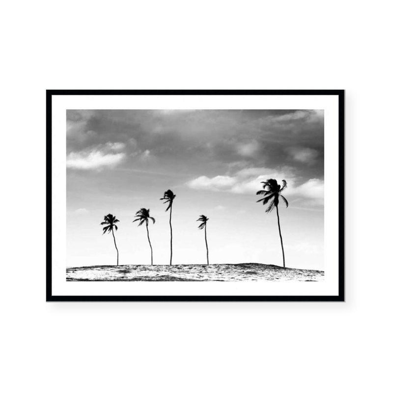 Palm Life