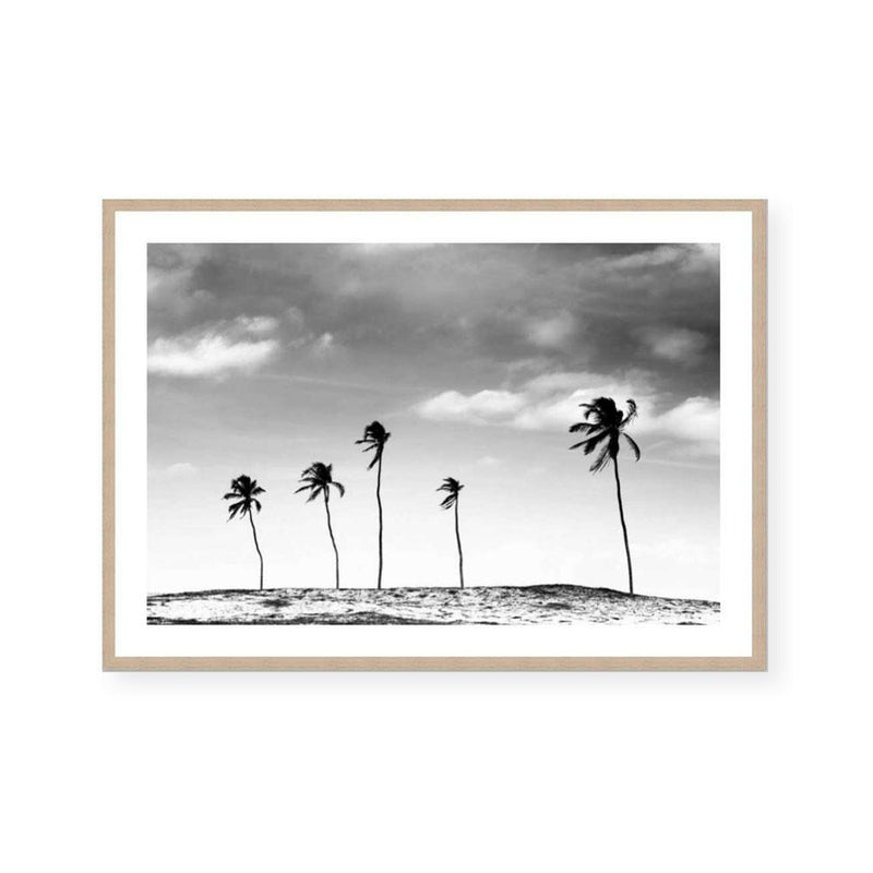 Palm Life