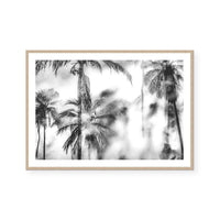 Palm Getaway II