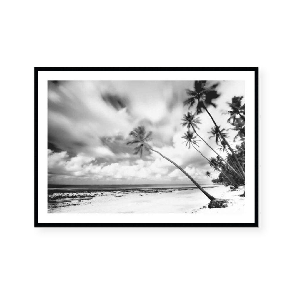 Palm Getaway III