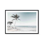 Palm Beach | Landscape