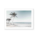 Palm Beach | Landscape