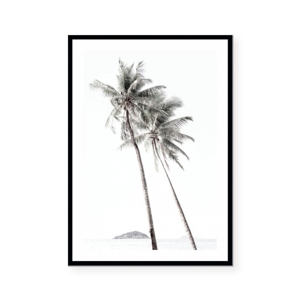 Palm Couple