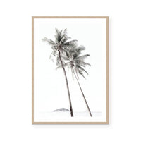 Palm Couple