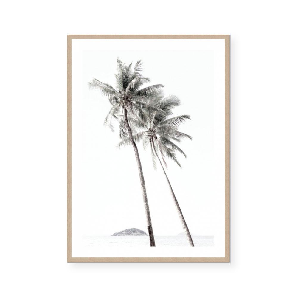 Palm Couple