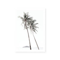 Palm Couple