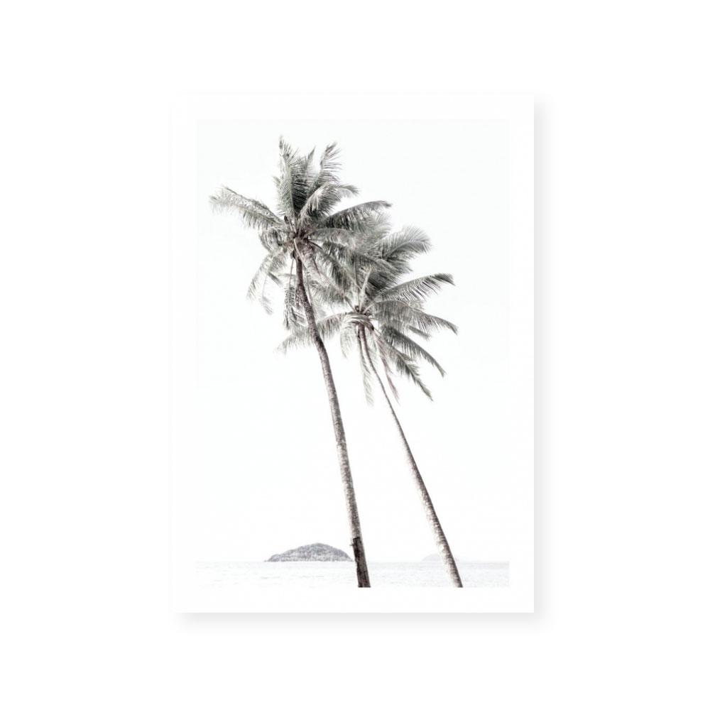 Palm Couple