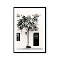 Palm Entrance
