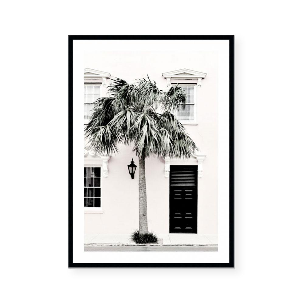 Palm Entrance