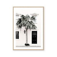 Palm Entrance
