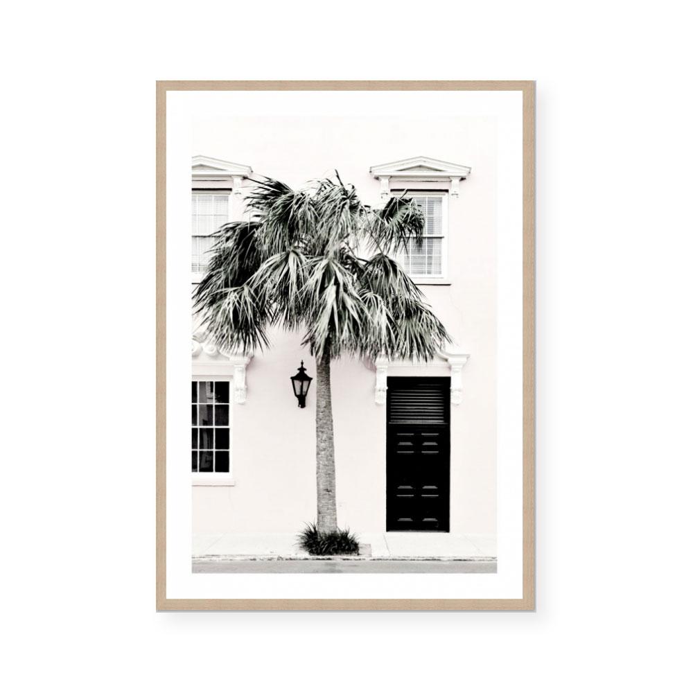 Palm Entrance