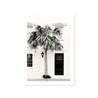 Palm Entrance
