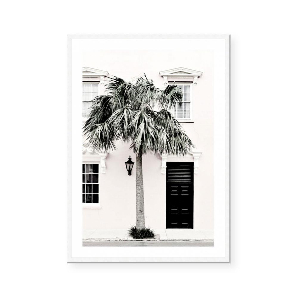Palm Entrance